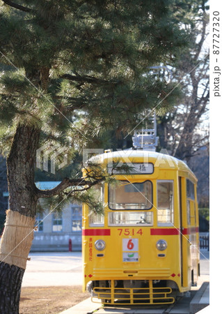 化粧直しできれいになったたてもの園の都電 87727320