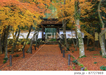 竹の寺　地蔵院　紅葉風景 87727869
