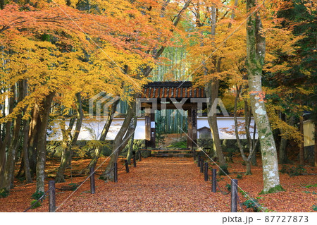 竹の寺　地蔵院　紅葉風景 87727873