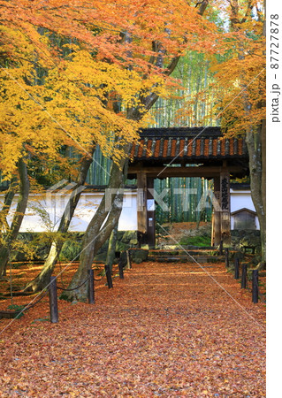 竹の寺　地蔵院　紅葉風景 87727878