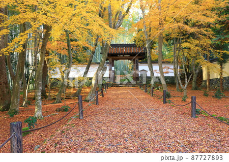 竹の寺　地蔵院　紅葉風景 87727893