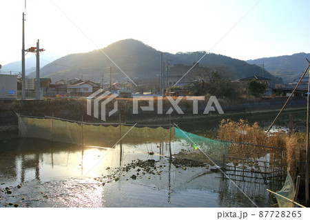 シロウオ漁のヤナ場 シロウオ漁のヤナ場 87728265