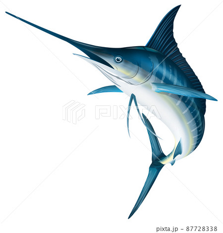 Fish Stock Illustration