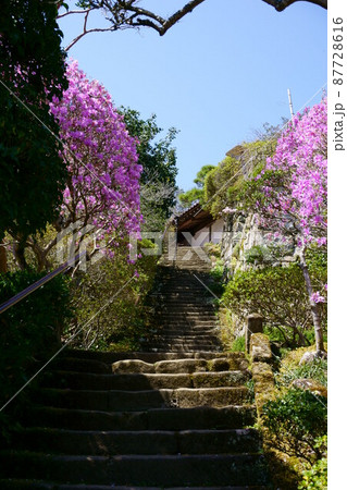 2783　秩父34ヶ所観音霊場32番札所　法性寺 87728616