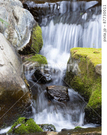 日本庭園の滝 87730011