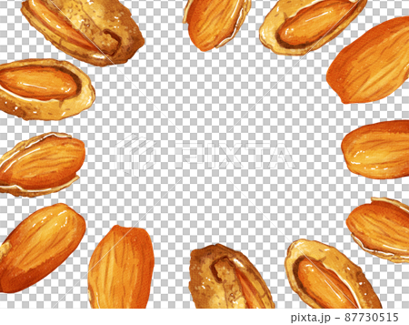 手描き水彩の殻付きアーモンドイラスト長方形フレーム・囲み 手描き水彩の殻付きアーモンドイラスト長方形フレーム・囲み 87730515