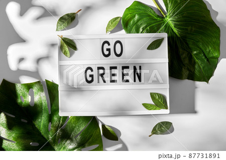 light box with go green words and leaves 87731891