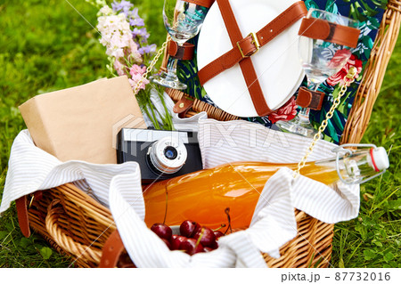 juice, cherry, book and camera in picnic basket 87732016