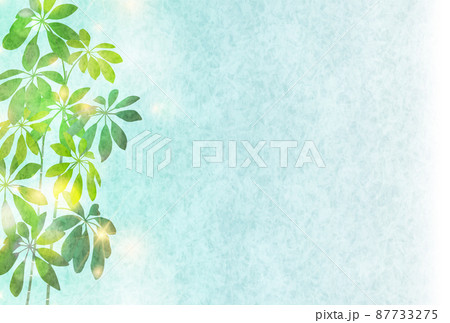 新緑　観葉植物　葉　背景 87733275