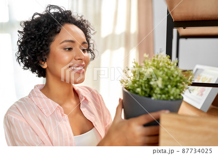 woman decorating home with flower or houseplant 87734025