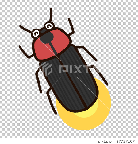 Shining cute fireflies Shining cute fireflies 87737107