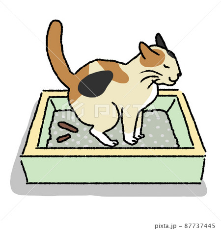うんこをする猫 87737445