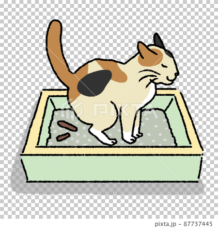 うんこをする猫 87737445