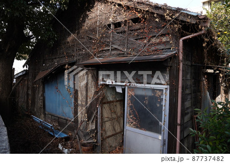 日本の古い外壁に蔦の絡まった家/二階建て/一軒家/老朽化した家/鬱蒼とした家 日本の古い外壁に蔦の絡まった家/二階建て/一軒家/老朽化した家/鬱蒼とした家 87737482