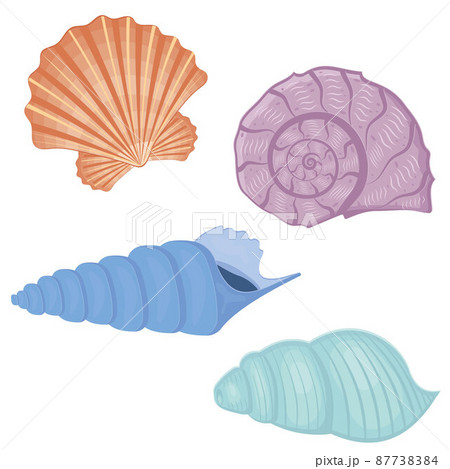 A set of colored seashells. Isolated vector illustration on a white background A set of colored seashells. Isolated vector illustration on a white background 87738384