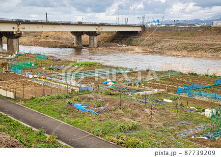 河川敷菜園 河川敷菜園 87739209