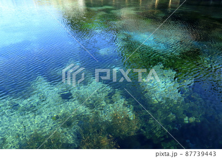 霧島山麓丸池湧水の風景 霧島山麓丸池湧水の風景 87739443
