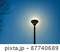 街灯と花粉光環 87740689