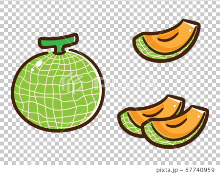 Cute melon handwritten style cross section illustration set 87740959