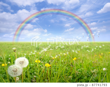 空想で描いた風景、大草原とタンポポの綿毛、そして虹の向こうへ 87741793