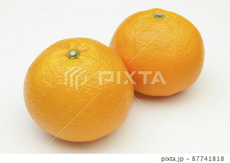 伊予柑 87741818