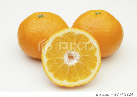 伊予柑 伊予柑 87741824