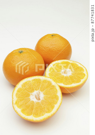 伊予柑 伊予柑 87741831