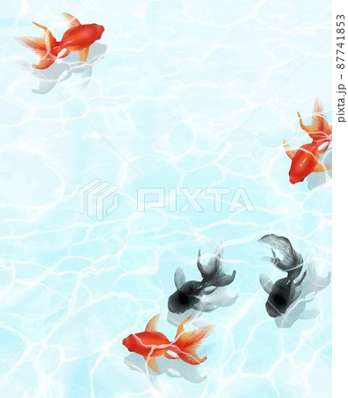 涼しげに水の中を黒と赤の金魚が優雅に泳ぐ水の波紋が美しいデザインのベクター夏フレーム素材のイラスト素材