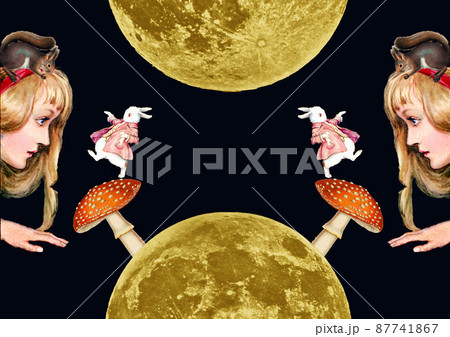 アリス　コラージュ　 87741867