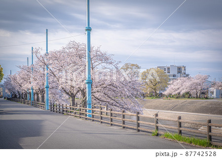【高槻】　さくら公園 87742528
