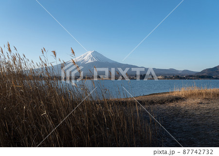 湖畔から富士山を眺める 河口湖 湖畔から富士山を眺める 河口湖 87742732