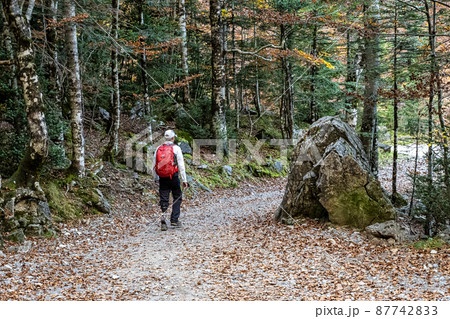 Man with prosthesis of a leg walking in Ordesa and Monte Perdido NP, Pyrenees, Aragon in Spain 87742833