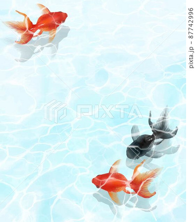 水の中を黒と赤の金魚が優雅に泳ぐ水の波紋が美しいデザインのベクター夏フレーム素材のイラスト素材