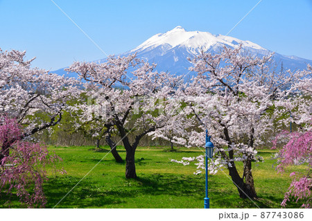 桜景 岩木川河川公園 桜景 岩木川河川公園 87743086