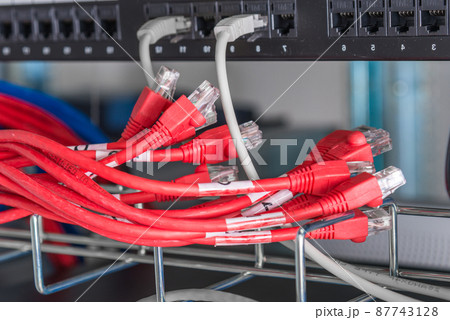 red patch cables connected to ethernet ports of the switch 87743128