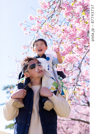 家族写真　父子で花見　七五三 87743737