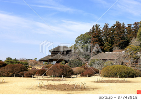 梅の花咲く水戸偕楽園／茨城県水戸市 87743918