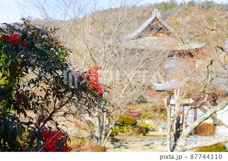 【瀬戸内三十三観音霊場】第十一番 明王寺の境内と南天の実1 岡山県岡山市東区 【瀬戸内三十三観音霊場】第十一番 明王寺の境内と南天の実1 岡山県岡山市東区 87744110