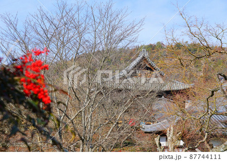 【瀬戸内三十三観音霊場】第十一番 明王寺の境内と南天の実2 岡山県岡山市東区 【瀬戸内三十三観音霊場】第十一番 明王寺の境内と南天の実2 岡山県岡山市東区 87744111