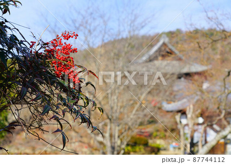 【瀬戸内三十三観音霊場】第十一番 明王寺の境内と南天の実3　岡山県岡山市東区 87744112