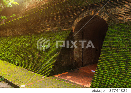 Ancient tunnel at (Wat Umong Suan Puthanatham) is a Buddhist temple is a major tourist attraction with green forest nature in Chiang Mai,Thailand. Ancient tunnel at (Wat Umong Suan Puthanatham) is a Buddhist temple is a major tourist attraction with green forest nature in Chiang Mai,Thailand. 87744325