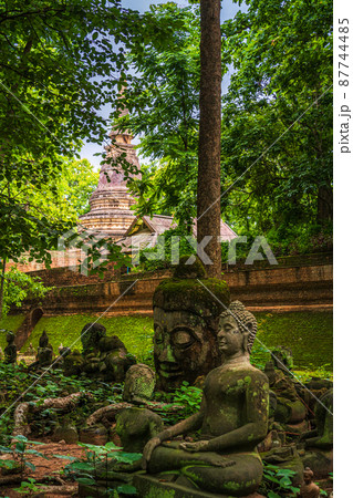 Ancient buddha figures Wat Umong Suan Puthatham is a Buddhist temple in the historic centre and is a Buddhist temple is a major tourist attraction with green forest nature in Chiang Mai,Thailand. Ancient buddha figures Wat Umong Suan Puthatham is a Buddhist temple in the historic centre and is a Buddhist temple is a major tourist attraction with green forest nature in Chiang Mai,Thailand. 87744485