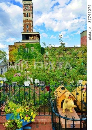 白い恋人パーク 87745076