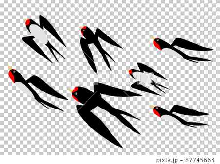 Flying swallow Flying swallow 87745663