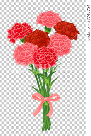 Mother's Day Carnation Bouquet Mother's Day Carnation Bouquet 87745754