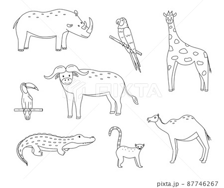 A set of drawings of cute cartoon African animals, vector illustration of a black and white outline of animals for coloring or logo 87746267