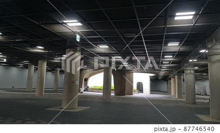 弾道項 クローバー 87746540