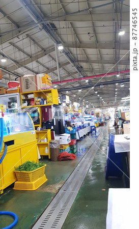 弾道項 クローバー 87746545