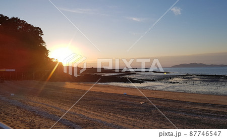 弾道項 クローバー 87746547