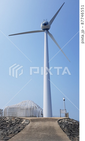 弾道項 クローバー 87746551